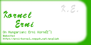kornel erni business card